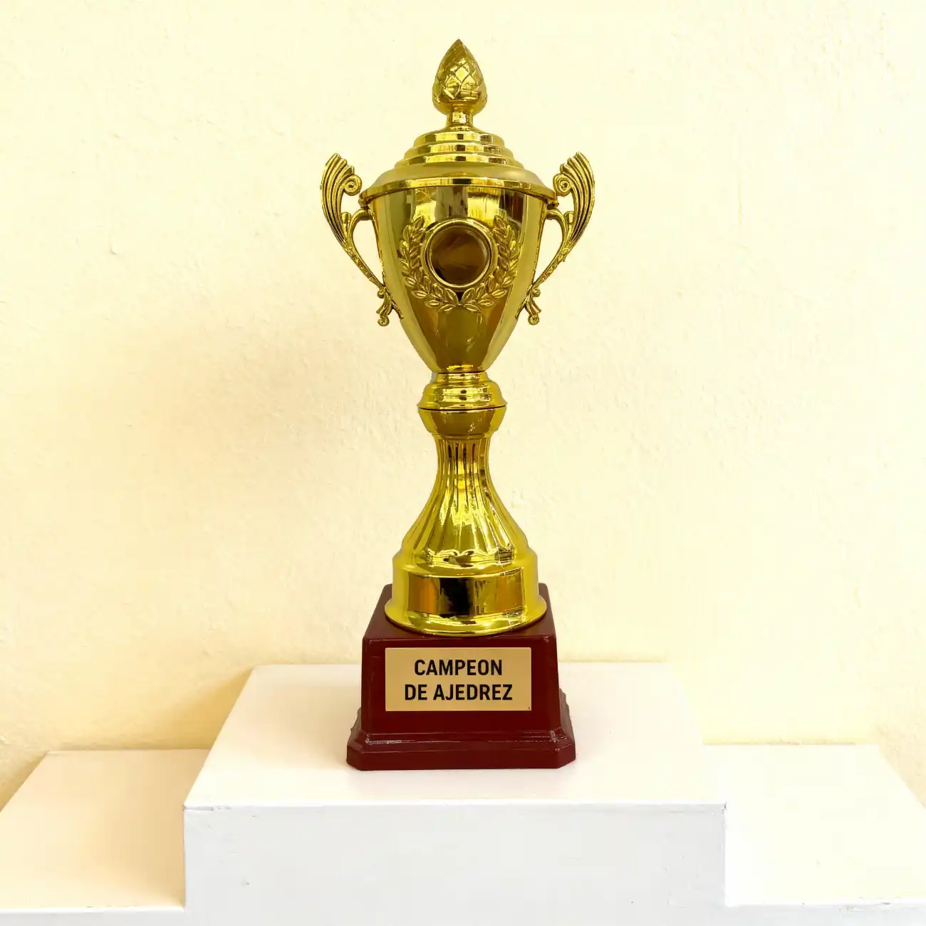 Trofeos personalizados