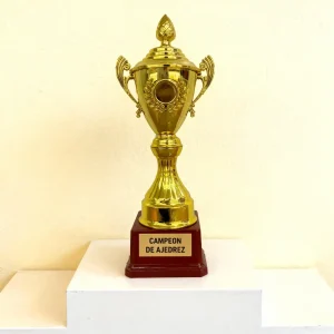 Trofeos personalizados